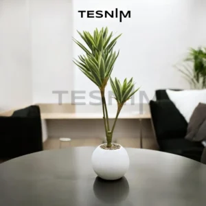 Цвеќе бела T2-3 70cm